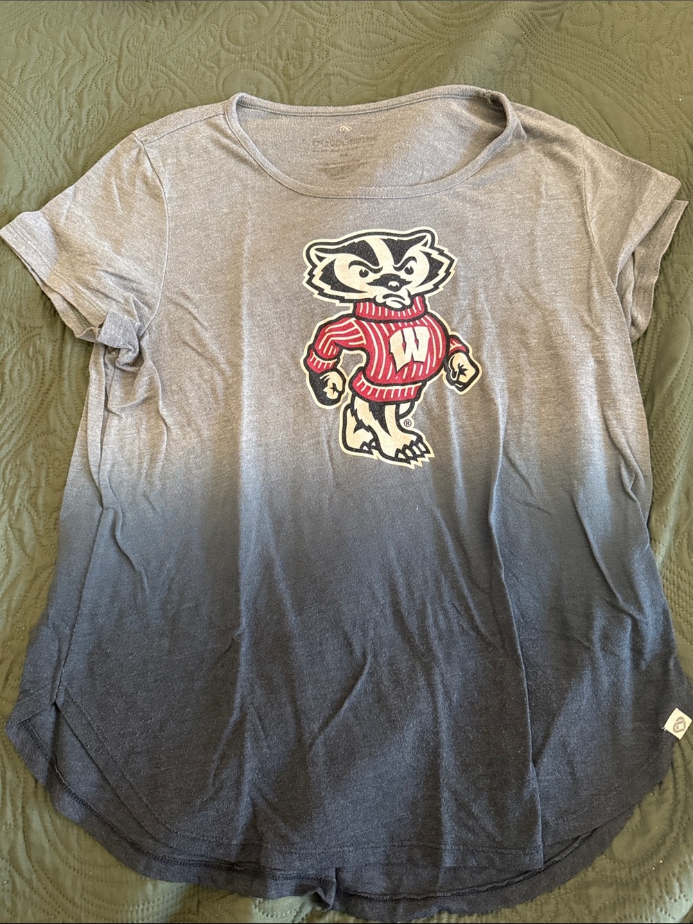 Wisconsin Bucky Badger Graphic Tee - Gray Ombre